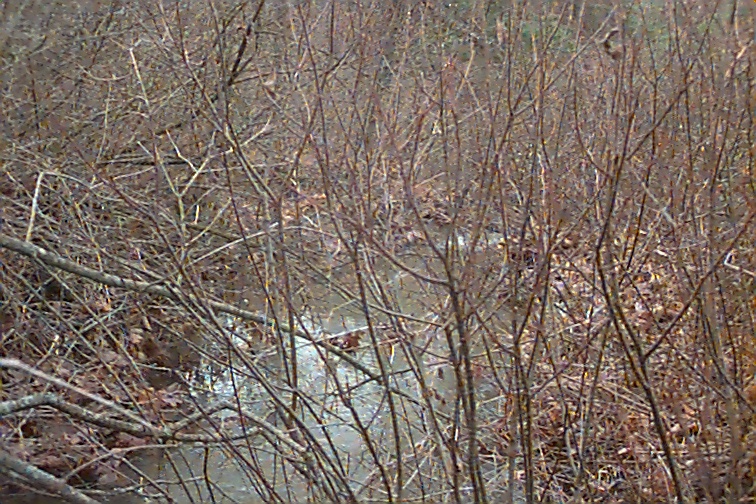Field photo showing stream conditions at site TOWN-101-R-2000- 02